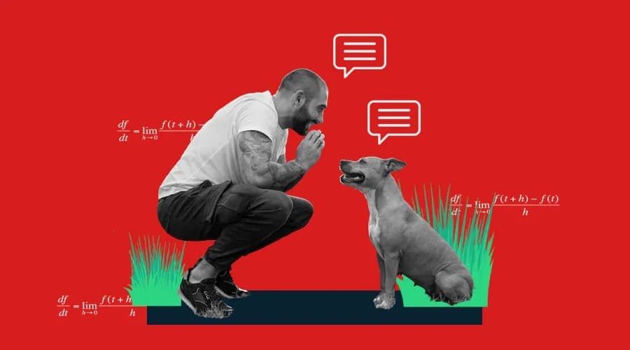 https://pangea--prod.s3.eu-north-1.amazonaws.com/images/agencies/dac-digital/case-studies/ai-modeling-and-machine-learning-in-detecting-oa-disease-among-dogs/cardImageUrl.webp