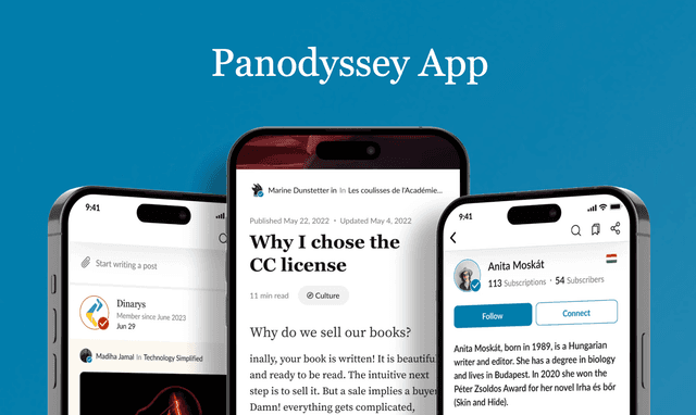 Panodyssey project preview